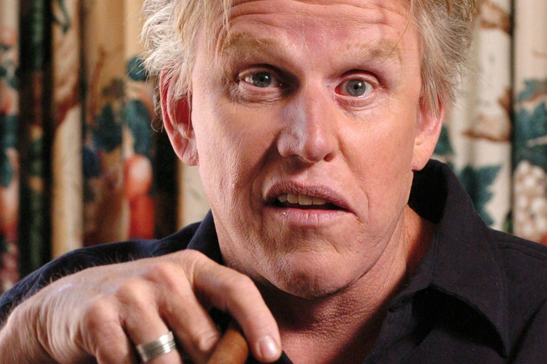 Gary Busey PC Wallpapers