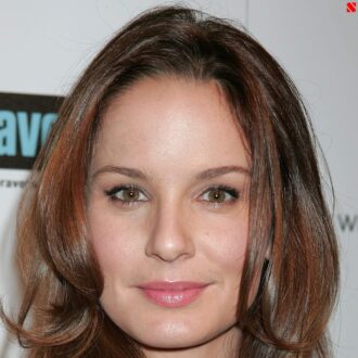 Sarah Wayne Callies Face