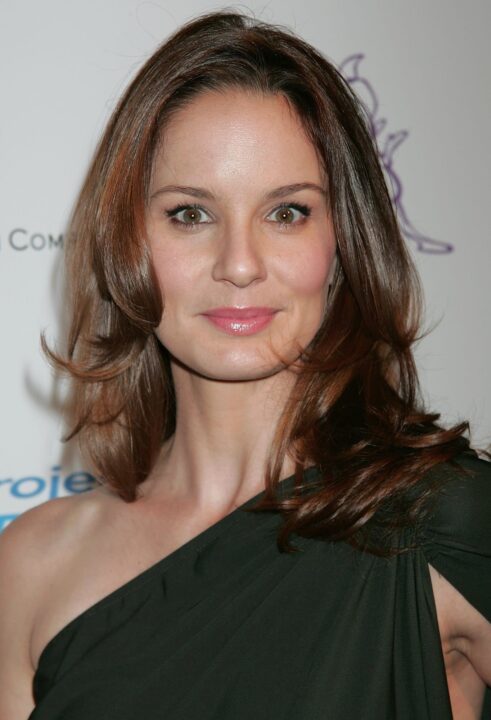 Sarah Wayne Callies HD