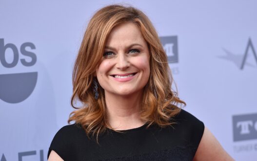 Amy Poehler Computer Wallpapers