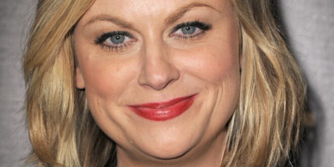 Amy Poehler Face