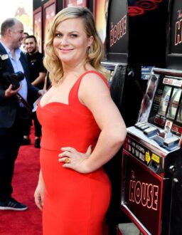 Amy Poehler Red Dress