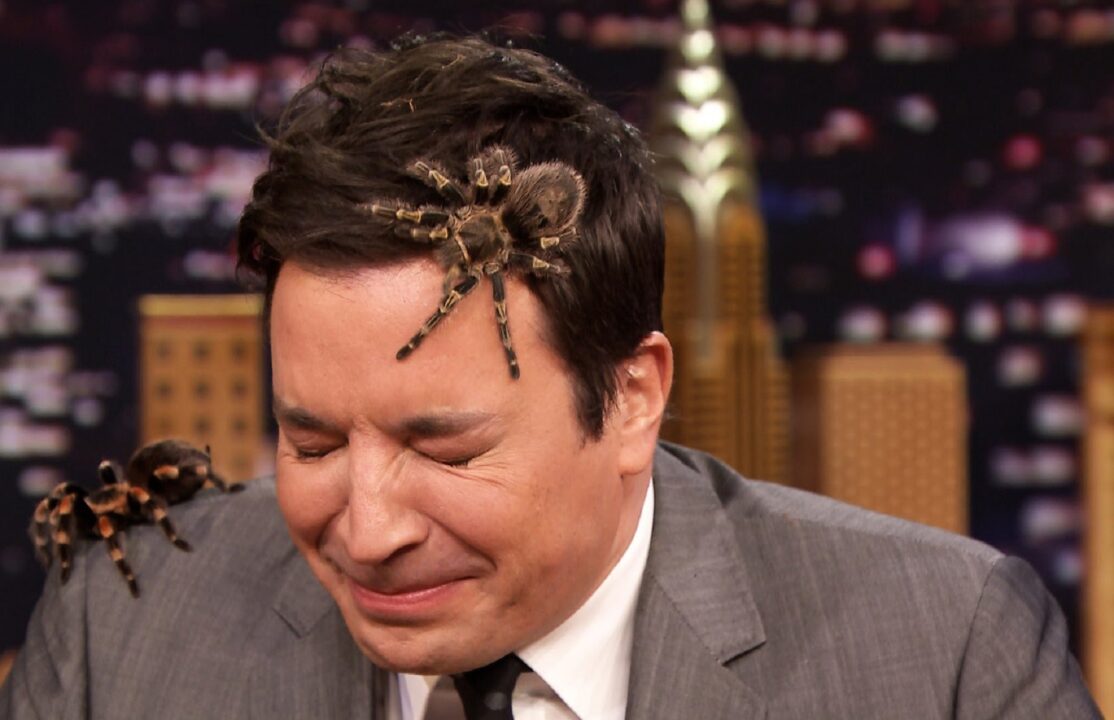 Jimmy Fallon Photo Gallery